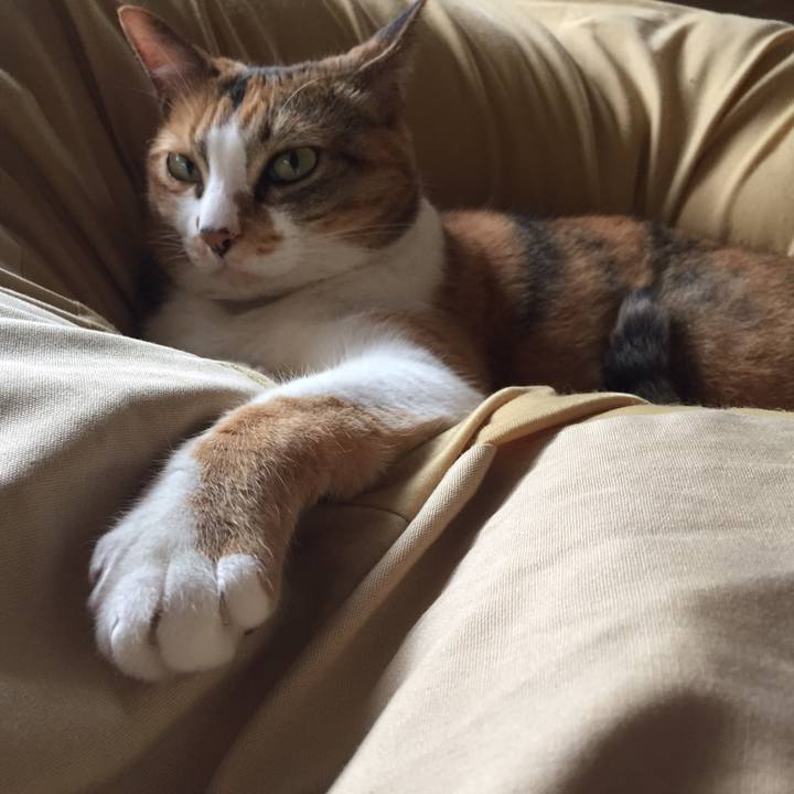 894965c5 6f4a 4672 9c5c 0c1246968810