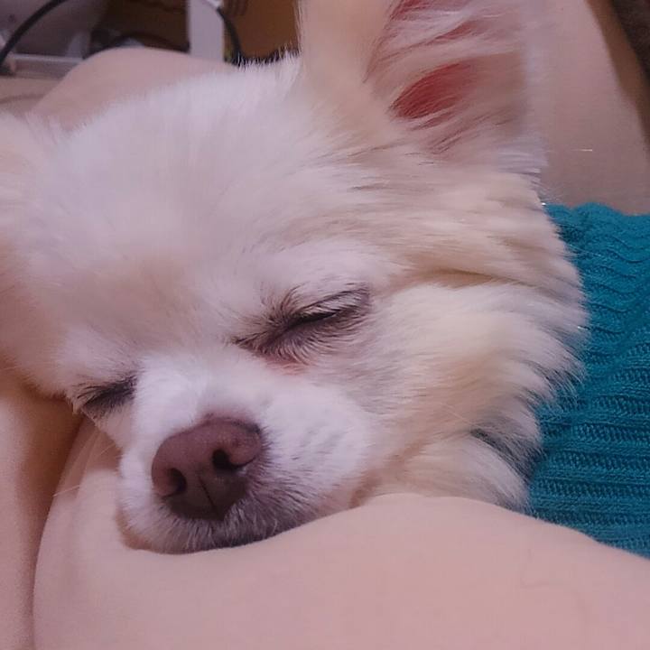 89497f77 e6e3 4887 a4be a4324f64c587