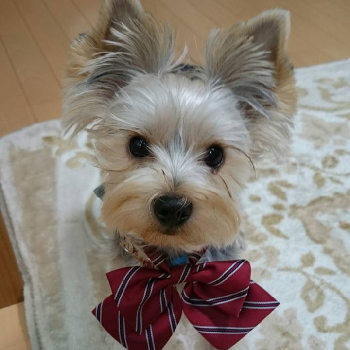 8949e7d1 7b6a 4a63 a39f 00c7f720a56a