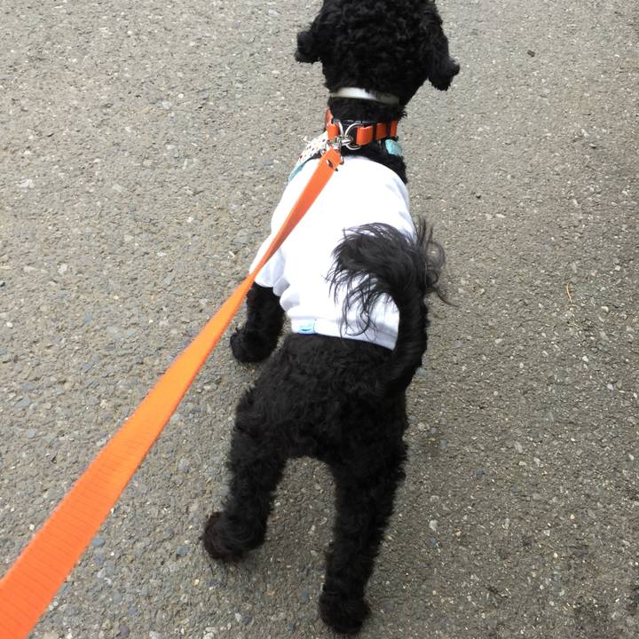 8949f98e 4dba 48a6 b6b4 9a6c66953dae