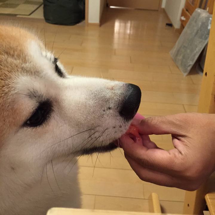 894a0786 cf57 4b93 a9e5 bcc31f041d86