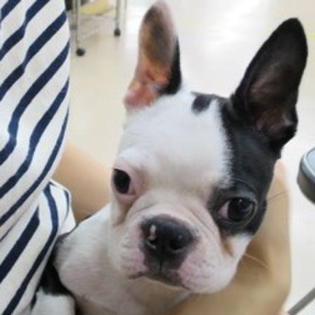 894a6750 53bf 43d7 b1fd 87b4a96206a4