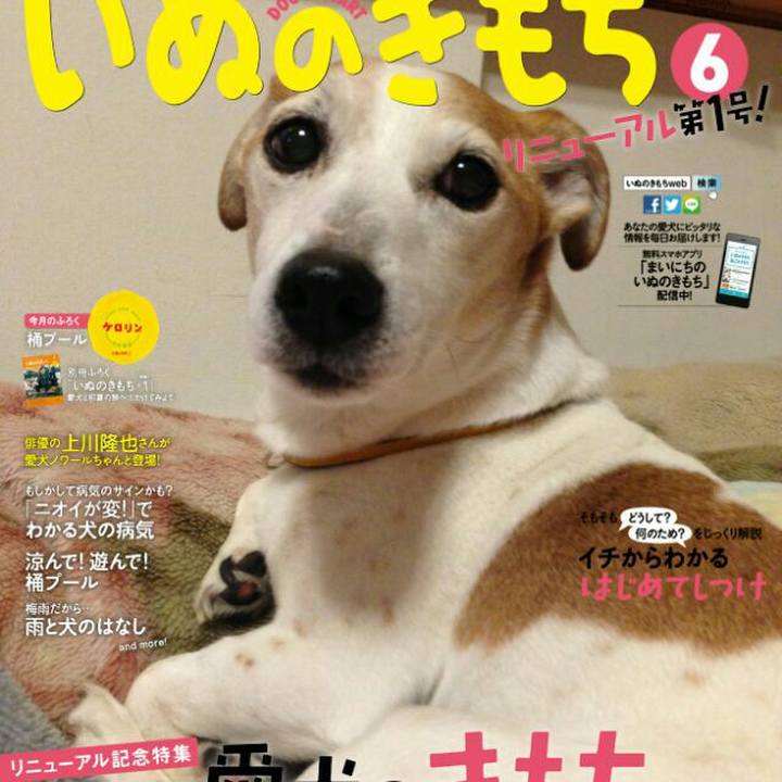 894a71a5 3dcc 466f 9d4e 9aa247698087