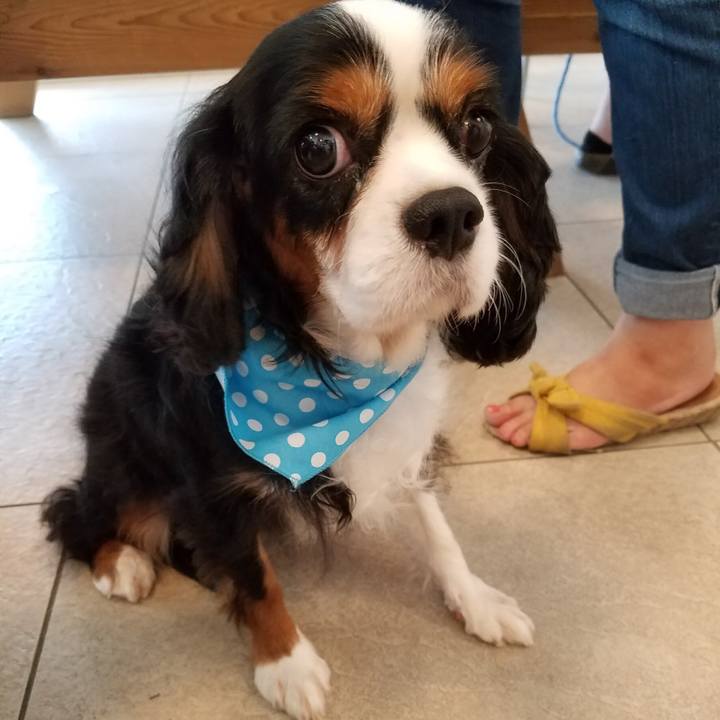 894a8a54 b5d9 48c1 944f fd33fe435eb1