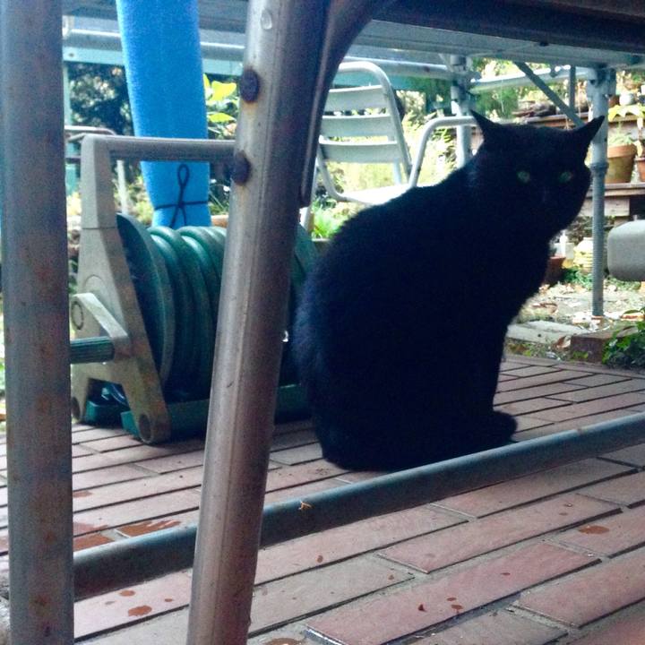 894ab22c d90e 46c8 946b 51de6e75fd41