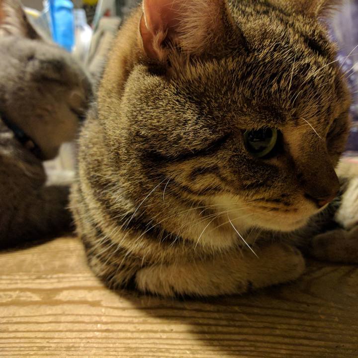 894b8aed 359d 4cd9 8c4a e806116baa44