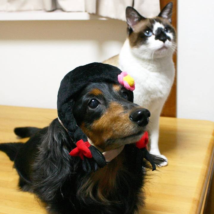 894c953f 18c6 4885 9427 00155e21d0b3