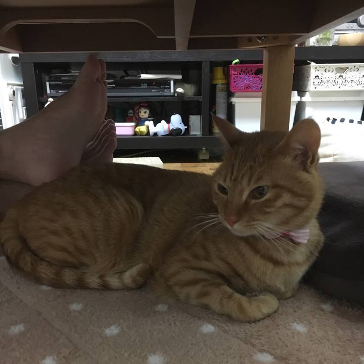 894d3237 4306 473e bbbe 3993869fe199