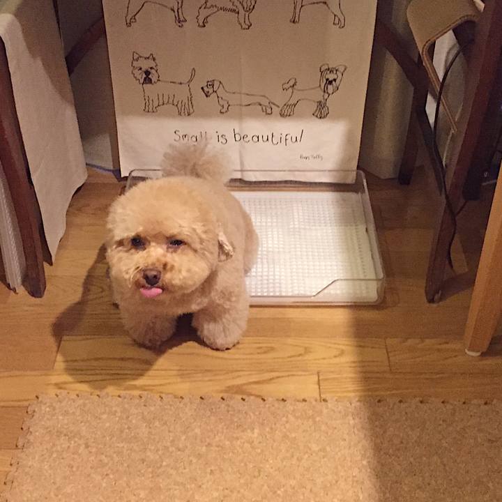 894d88e9 baee 494e 9c25 1a02f809e52b