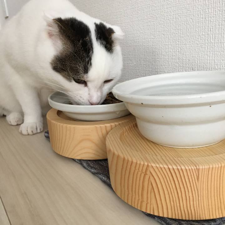 894e5947 198f 4ac6 866e f389cd046ddd