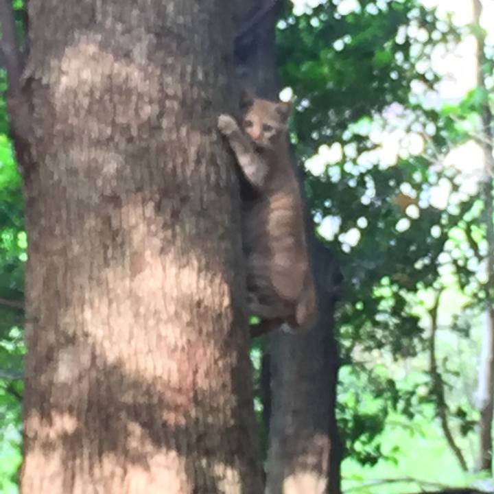 894e96f9 60e8 4644 9354 e9fc7c74543b