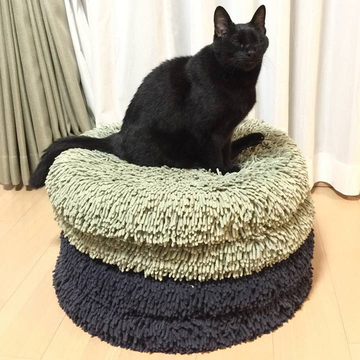 894f6f6a b22f 478a 9fc7 4bc5ff64842d