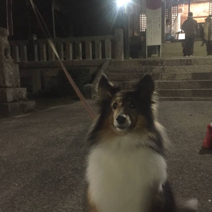 894fb3cc d6aa 454a b9c4 58ed207c3c50