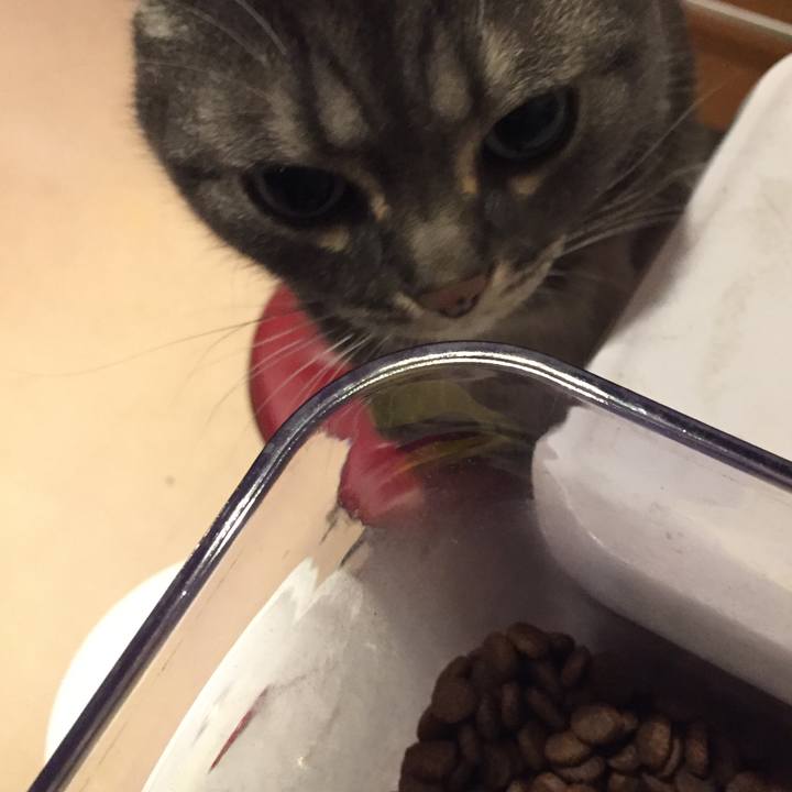 8950275d 5175 435d a3a7 e38c91f966a2