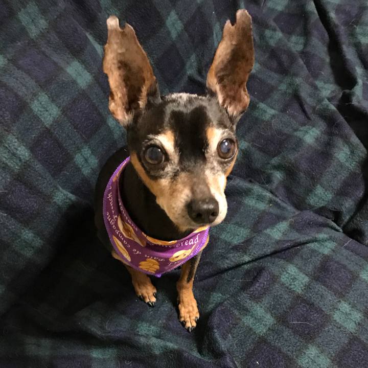 8950ddaf b582 4b42 9616 00b0b5f8c5bf