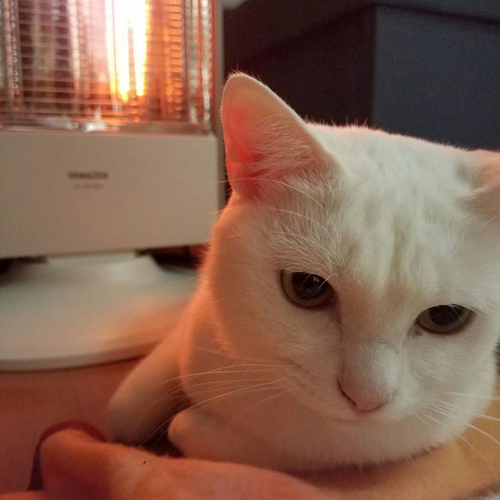 8951a88b fdea 42fa be4a 8fbd3e424254