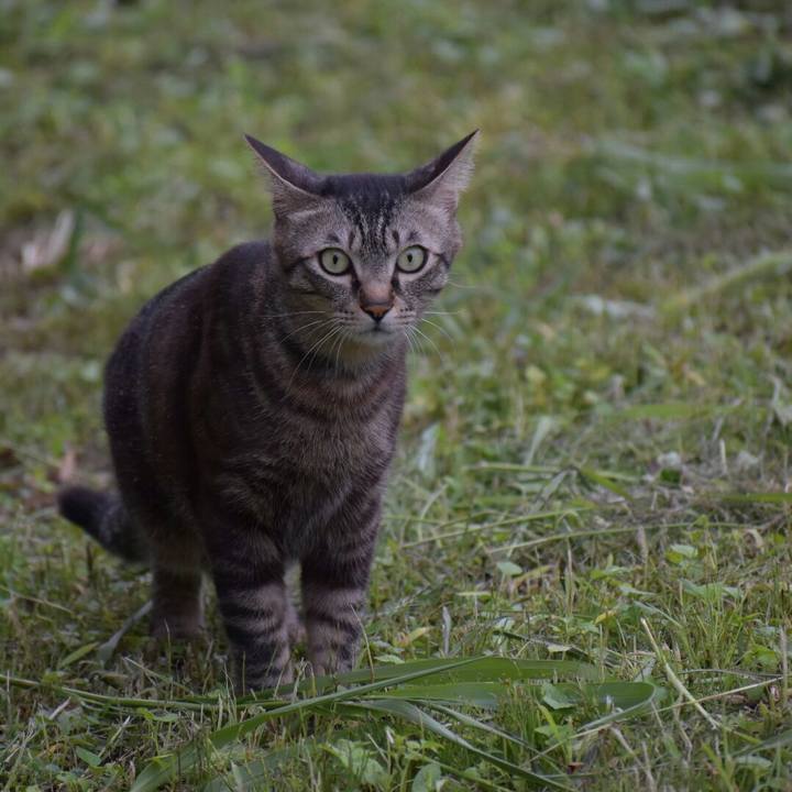 8951d36f e172 4b4f 925e 3462df68cf00