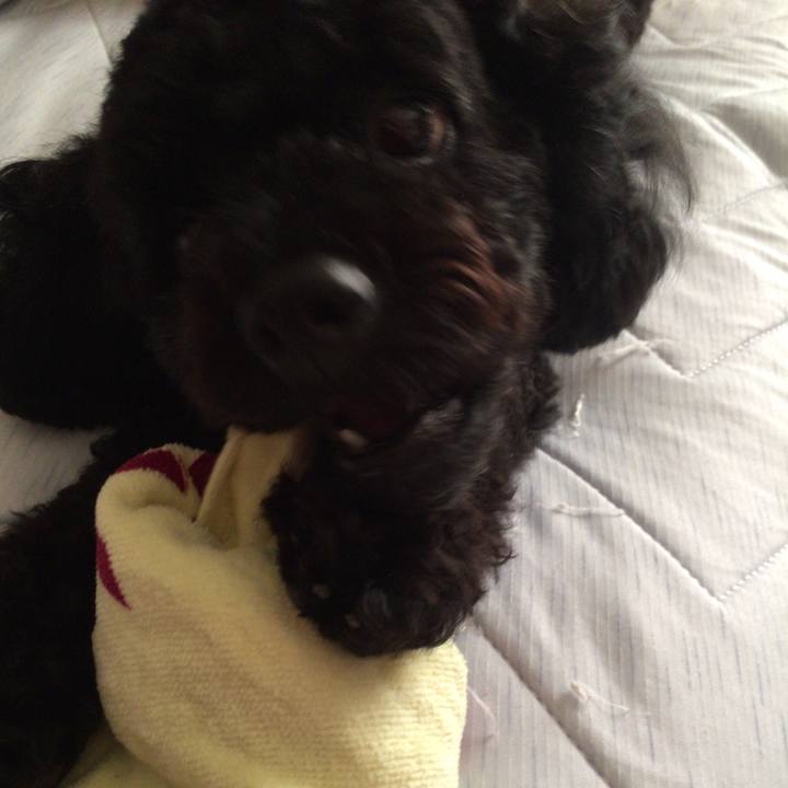 8951f27a 5bec 4fef a4ca af420ab3bc74