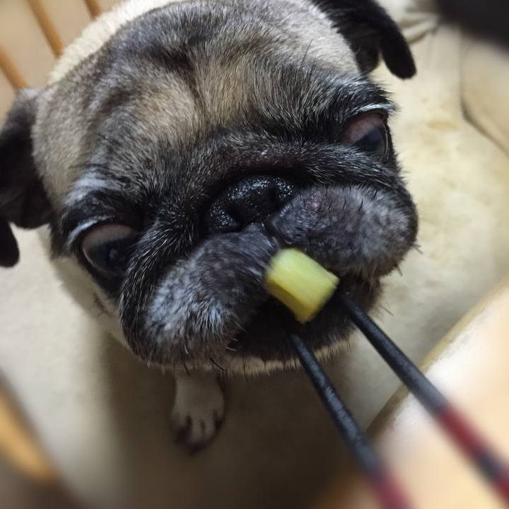 89536246 0320 4110 a949 b62b58ad82e0