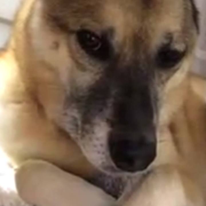 89537b3f bc3d 4555 9782 30908d2a6fbc