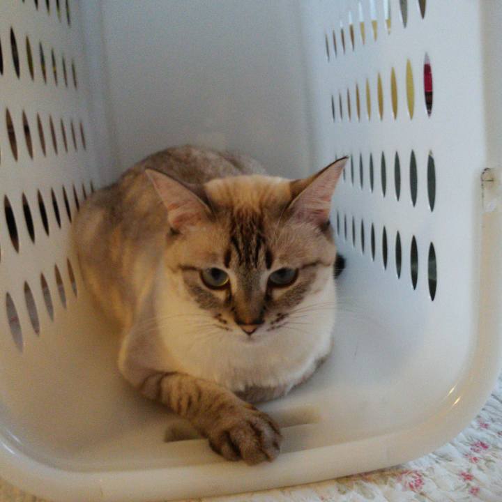 8953976b 84be 489f 8ea8 13eec9c8fda6