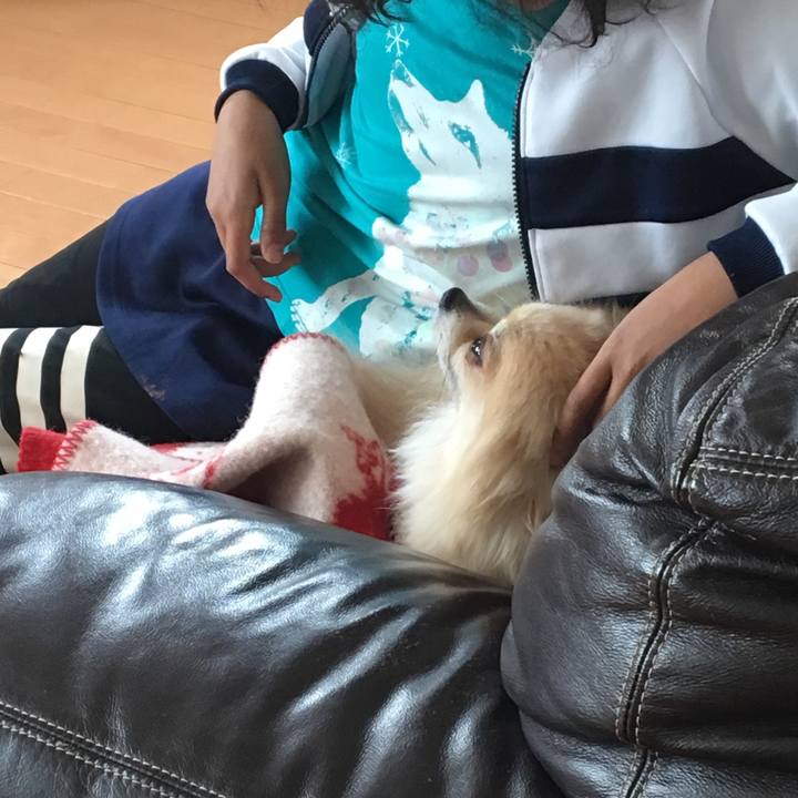 89539be5 38a6 4205 b782 5674183a7757