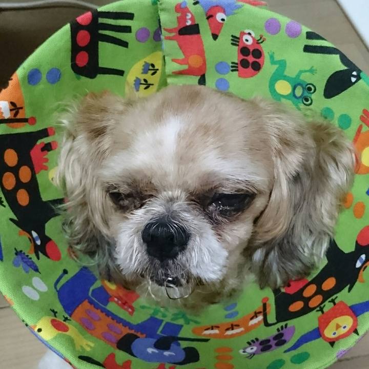 89547ce8 6e62 48e0 82cc 212966e5127a