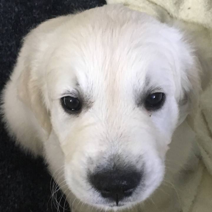 8954bc32 bb88 4f45 8c35 a1d808dd4948