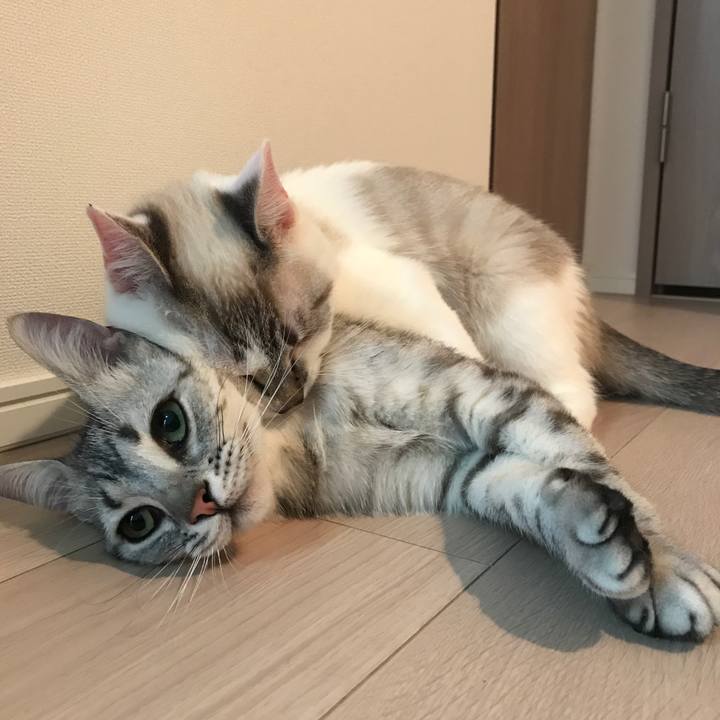 89556a75 92a3 4e3b 9d42 36e0b83c1fe5