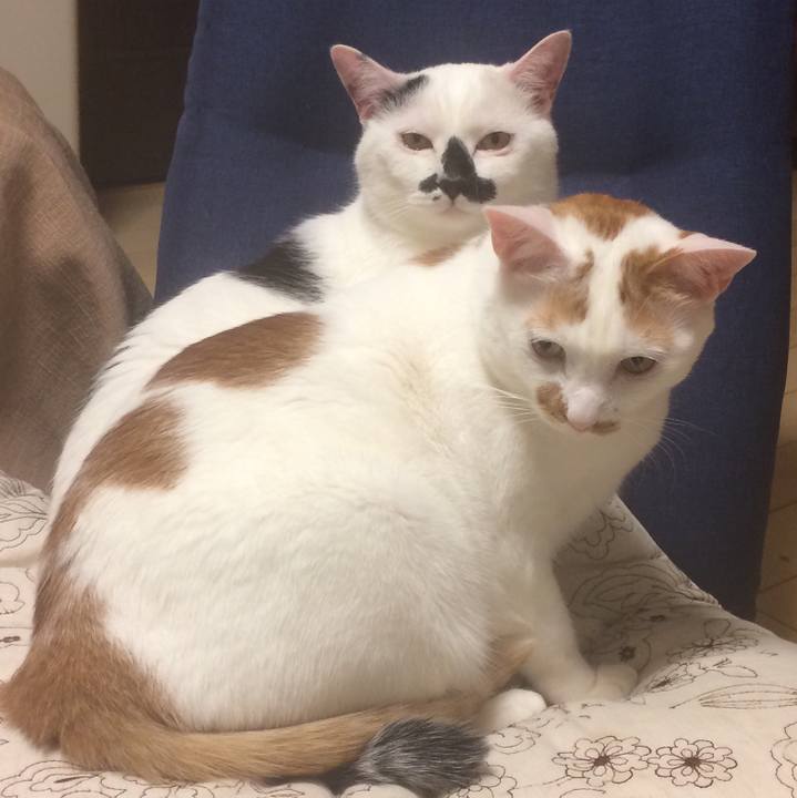 8955edc7 5d3c 4dd0 9e11 388ee149d069