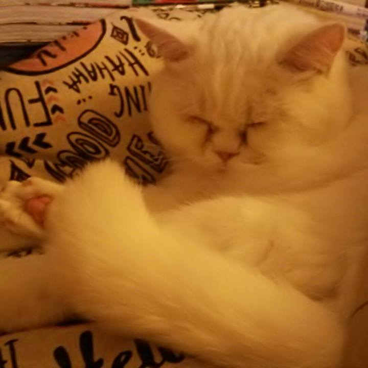 89561dd2 69b9 4192 8e85 5551449654f6