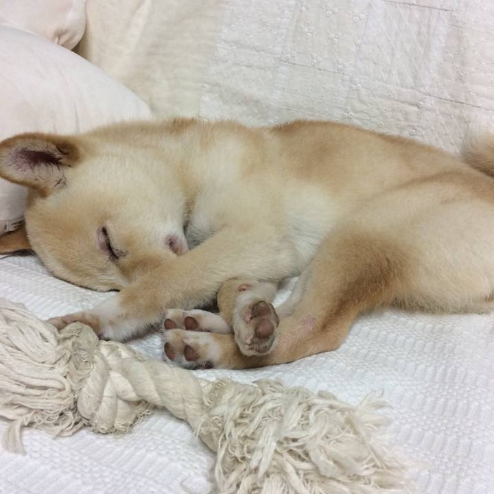 89565f50 03ae 4000 a1f7 20ed1aa22d0e