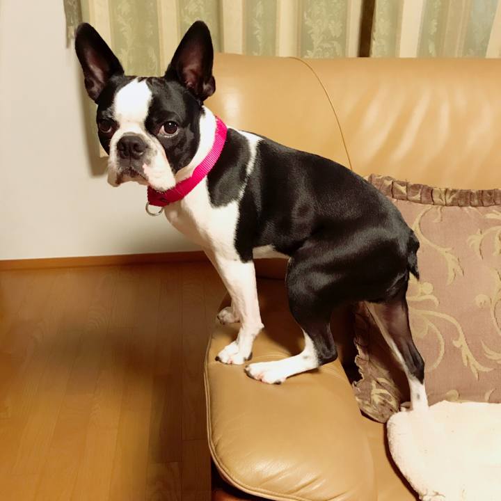 8956f9ba 123c 4649 9e9a 803284d90c4a