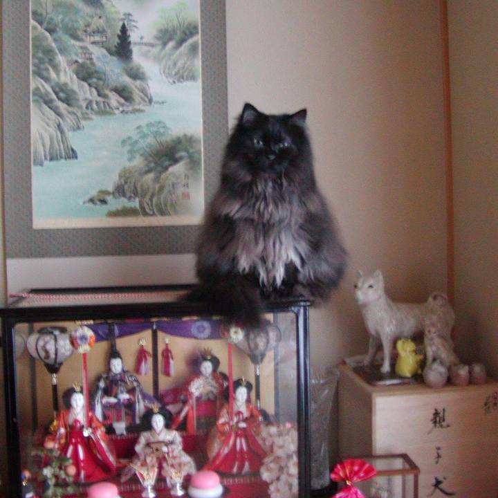 8956fa6b 731f 4873 8fd7 8228ab7a9c8a