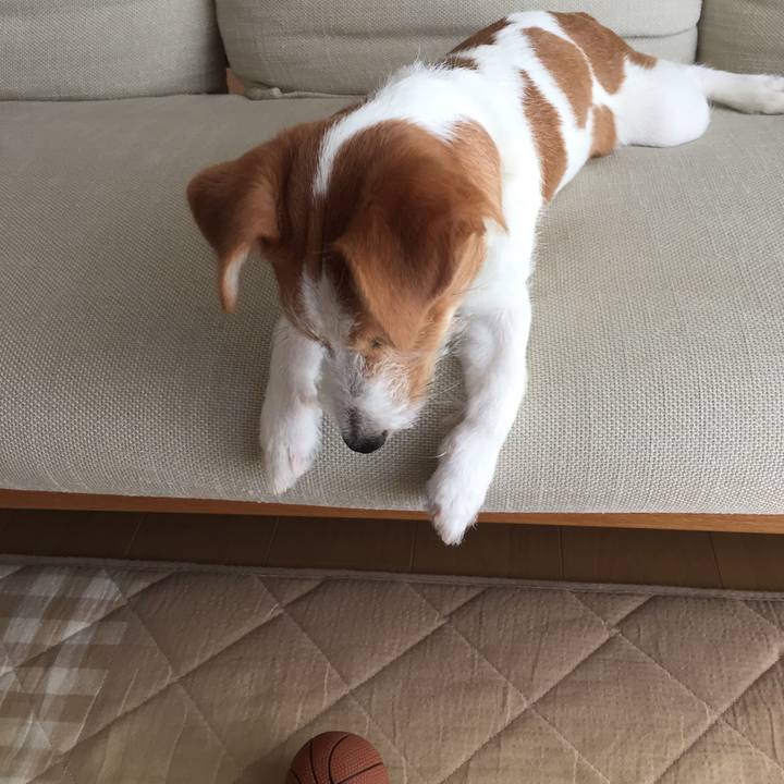 8957a770 b7af 4037 ad37 d4f160421ace