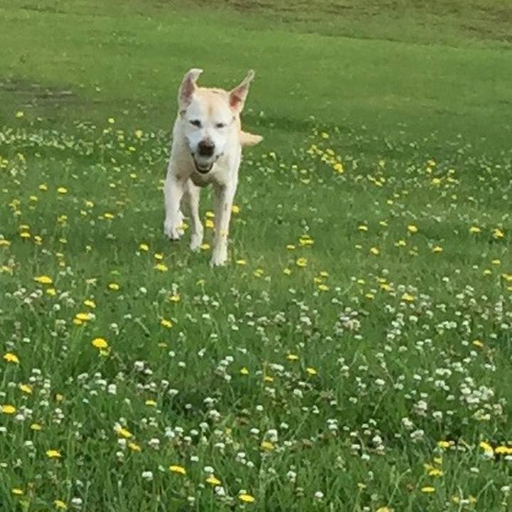 8957b35e 312e 4993 8ee5 3d02bbf1e0dc