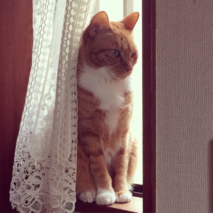 8958f424 5168 4bfb b851 21eb5db096be