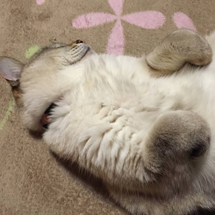 895a8237 f579 4cbb 84bc bbb185135084