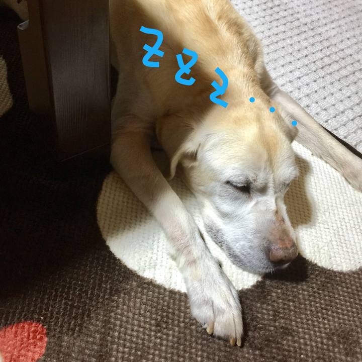 895b0a23 62f6 46f5 8dff 0d85e5efe04a