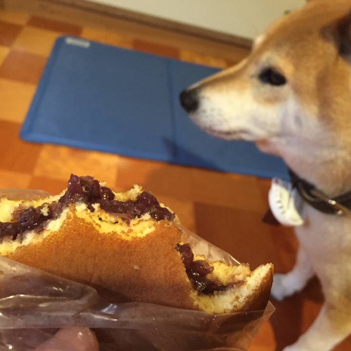 895b2a6f 69c1 44d2 9fa1 95f0c3f907c5