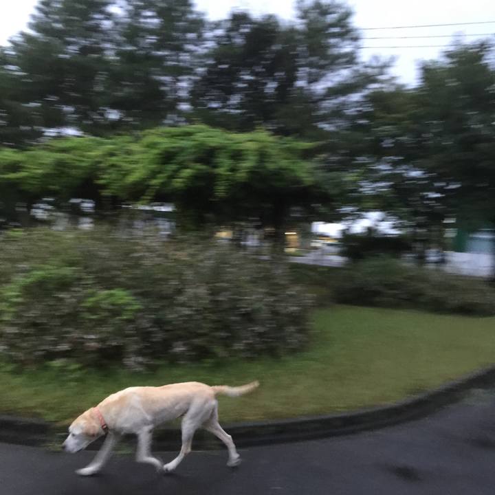 895b2f0a a1f1 4f08 935f 9a5f201750bf