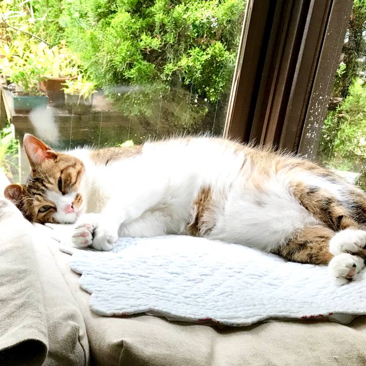 895b6bfd d106 4c64 8296 6fa214756370