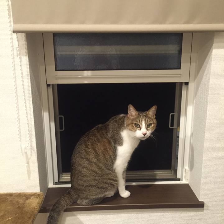 895bcfc1 2496 4161 a63e e5809bb16912