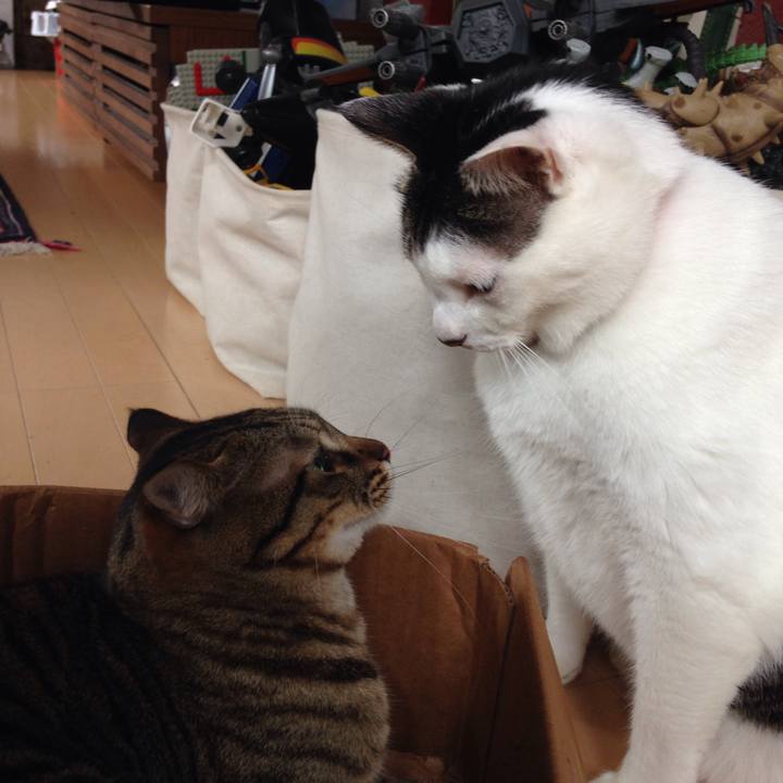 895c9b5f 3222 40e3 ae15 b80ba10b563d