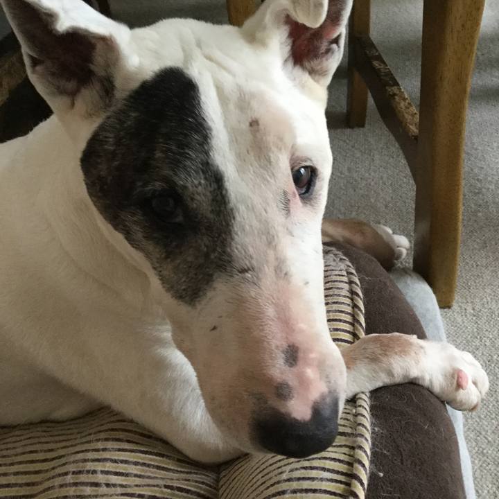 895cb8d7 fbdf 4b07 8430 3ff6817d7577