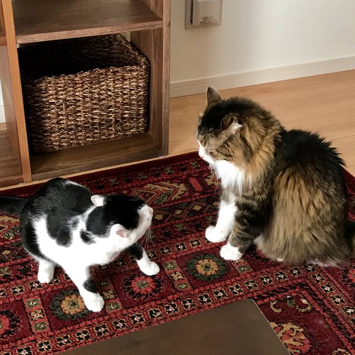 895cf9a0 7c6f 4abc b637 4c3745fd3d10