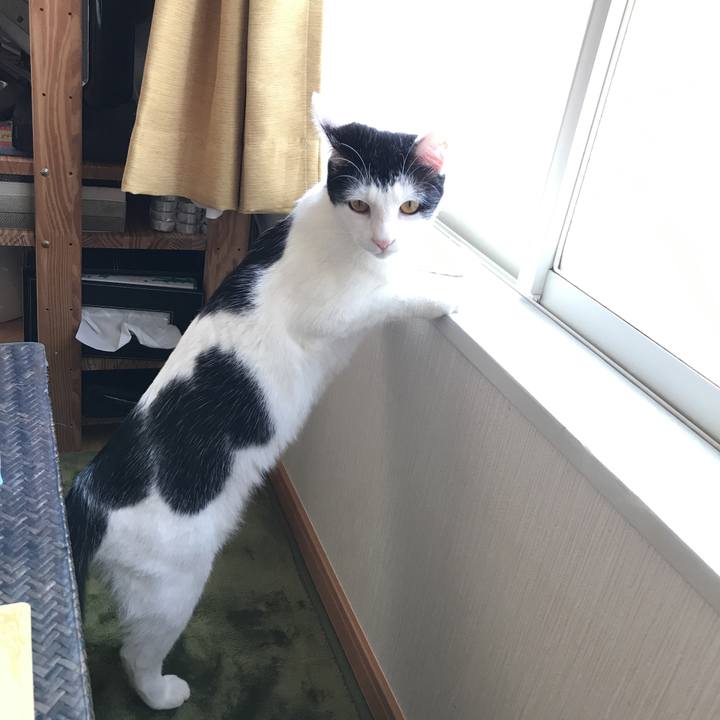 895d676c 0d7e 42f8 8831 103a9846763c