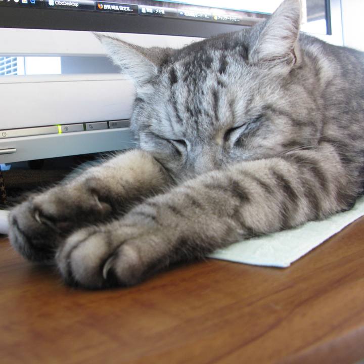 895e3e6c 4288 438b 80a9 e24c68588a49