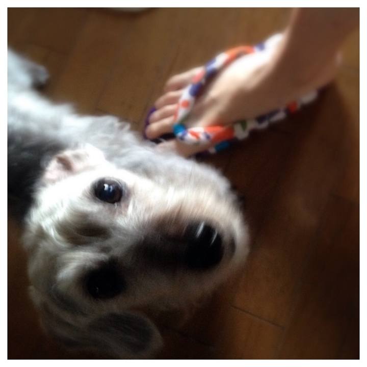 895e76e3 3ad3 4230 a42a 70da3c697e7b