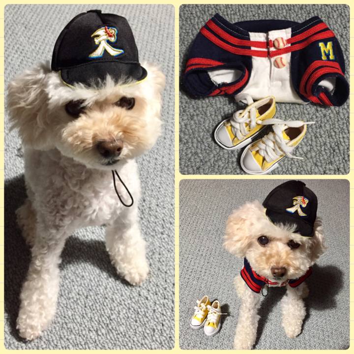 895eae51 4f0e 455a a159 982aa87d1c63